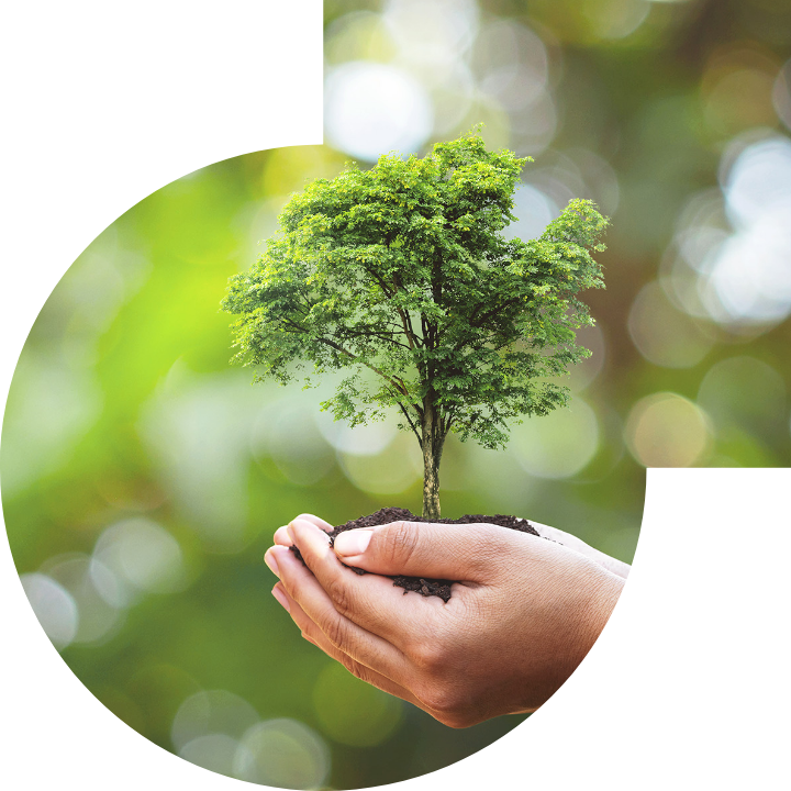 關懷人類、文化、環境與社會